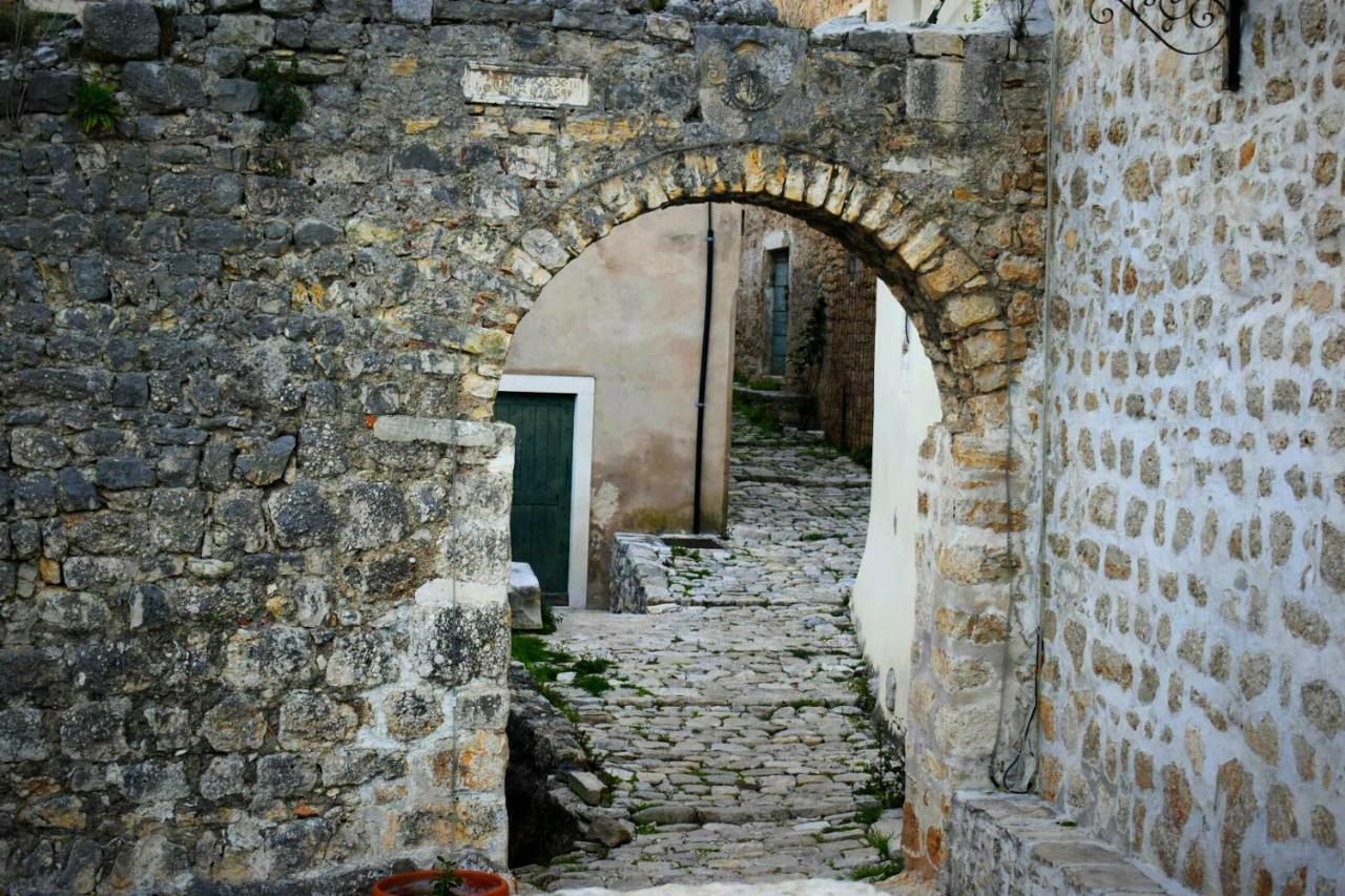 Carpe Diem Apartamento Novigrad (Dalmatia)