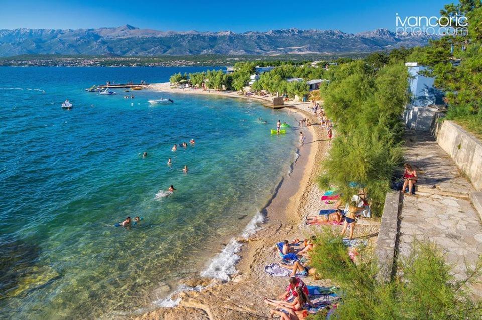 Apartamento Carpe Diem Novigrad (Dalmatia)